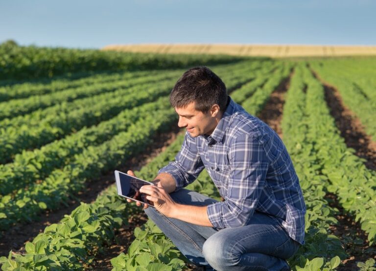 Inovação e empreendedorismo devem marcar a vida no campo do pequeno produtor rural neste ano