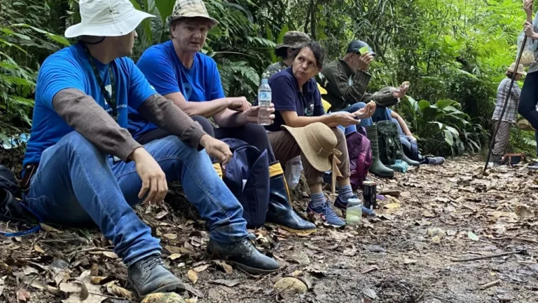 Programa abre inscrições para acelerar negócios verdes na Mata Atlântica