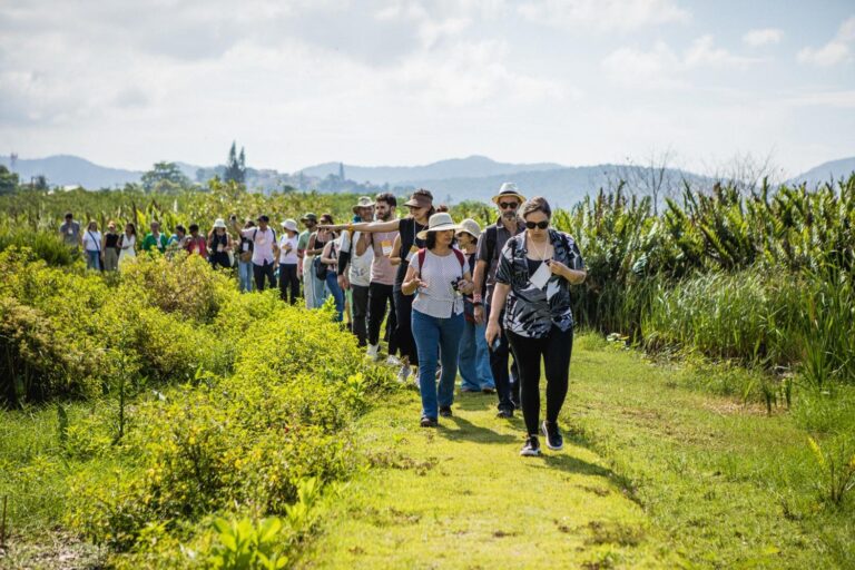 5 mudanças para acelerar a reintegração da natureza em cidades brasileiras