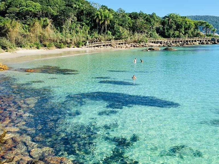 Conferência internacional Green Destinations reúne líderes e empresários em Bombinha