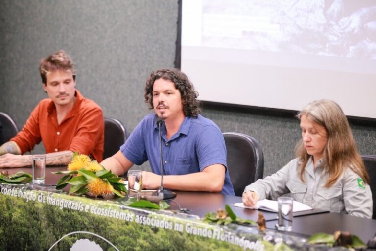 Mangues: estocando carbono e expansão com aquecimento global