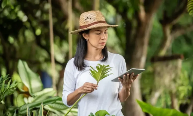 Inova Amazônia abre inscrições para pequenos negócios formalizados em operação