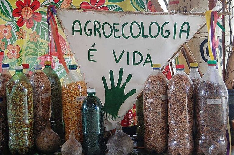 Agroecologistas organizam 12º Congresso com o lema: “Agroecologia na boca do povo”