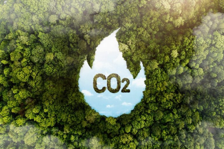 Primeira bolsa de carbono do Brasil deve movimentar cerca de R$12 bi no primeiro ano