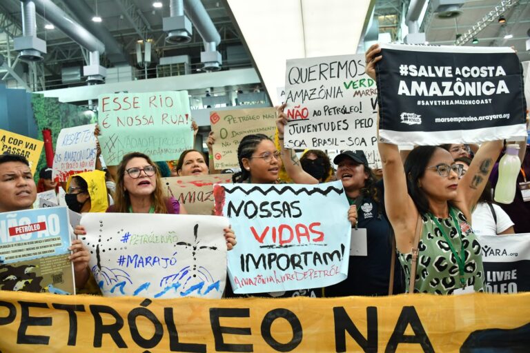 Greenpeace Brasil lança ‘Calendário Greenpeace 2024 – A Natureza Ao Redor’