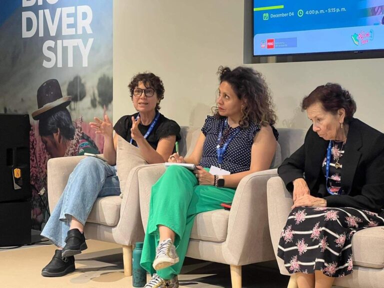 COP28 debate sociobiodiversidade na Amazônia