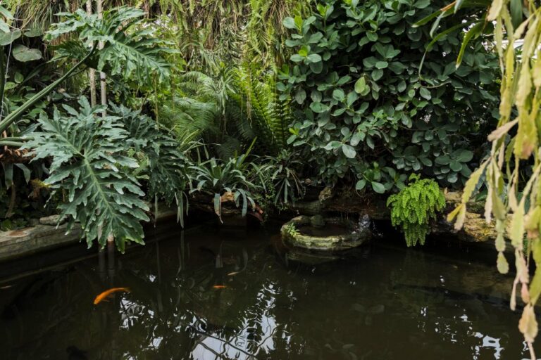 IPAM mapeará potencial da bioeconomia na Amazônia