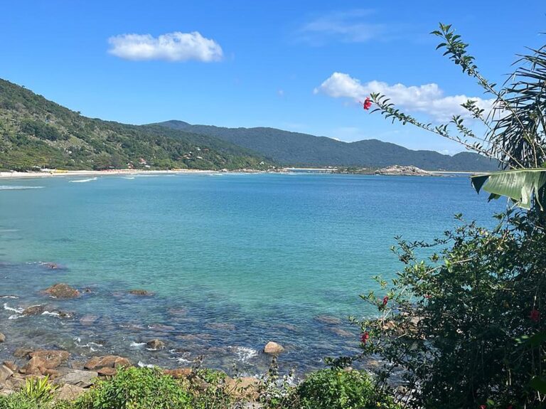 Praia de Florianópolis recebe mutirão de limpeza e conscientização
