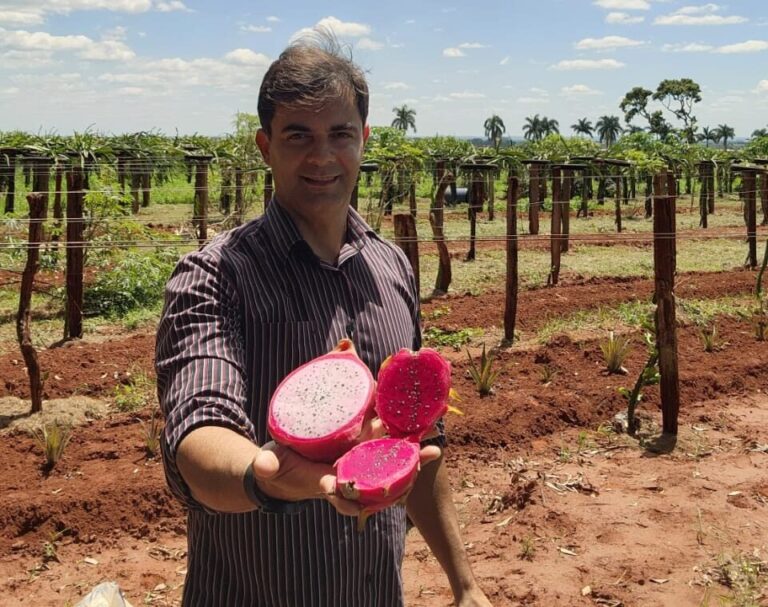 Produtor rural cria geleia de pitaya com apoio da Embrapii e Sebrae
