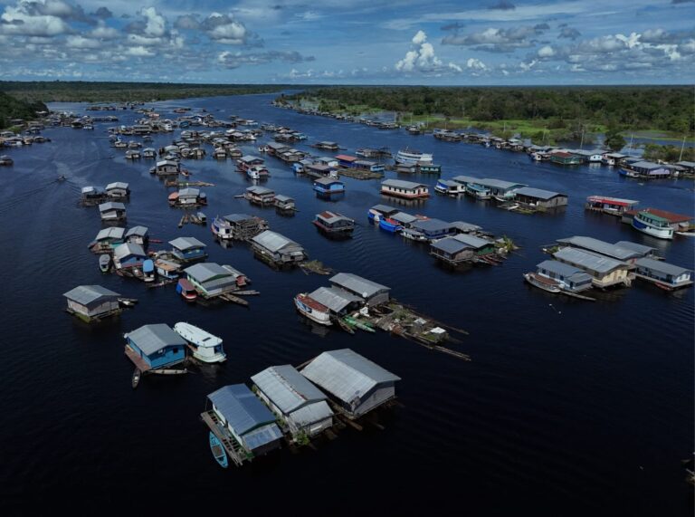 Sociobioeconomia fortalece economia da floresta amazônica
