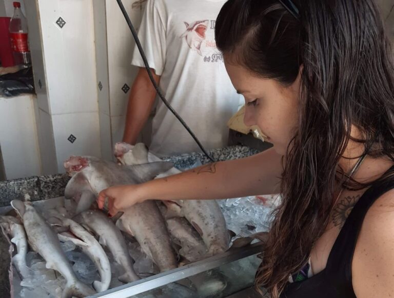 Avanço da pesquisa sobre raias e tubarões não impediu comércio e risco de extinção