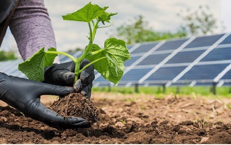 Região Sul representa 23% da energia renovável instalada no País