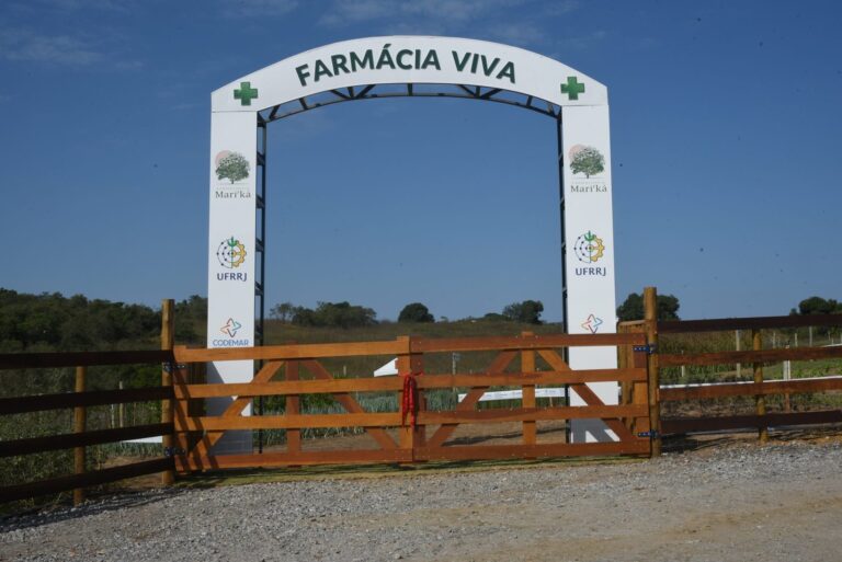 Cidade no Rio de Janeiro inaugura farmácia de plantas medicinais