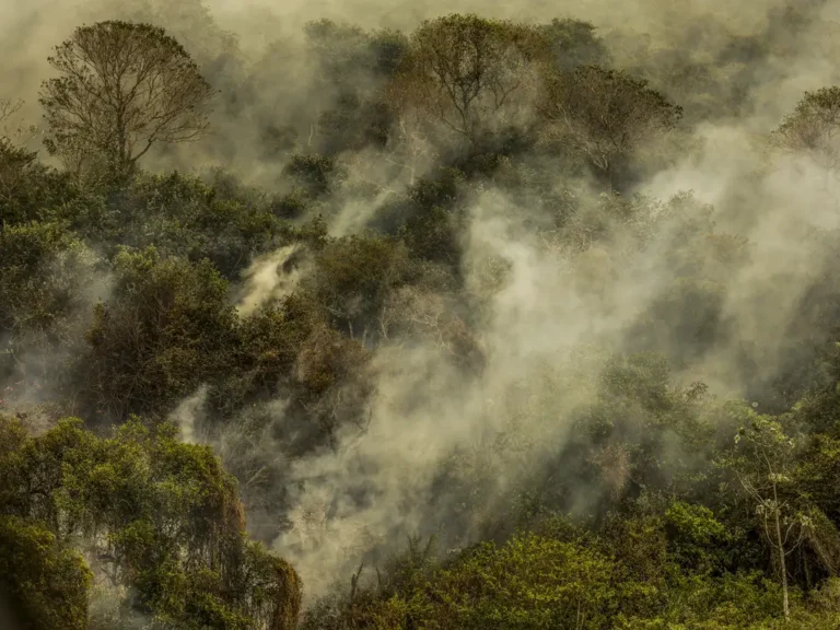 PF vê indícios de ação coordenada em incêndios