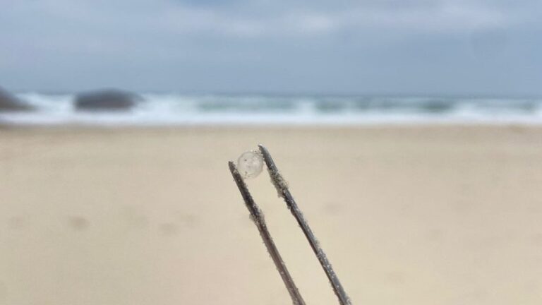 Microplásticos vindos do porto de Itajaí (SC) chegam a praias de Florianópolis, constata estudo