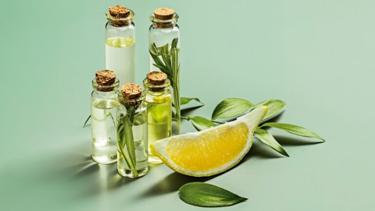 Cosméticos veganos são tendência entre consumidores