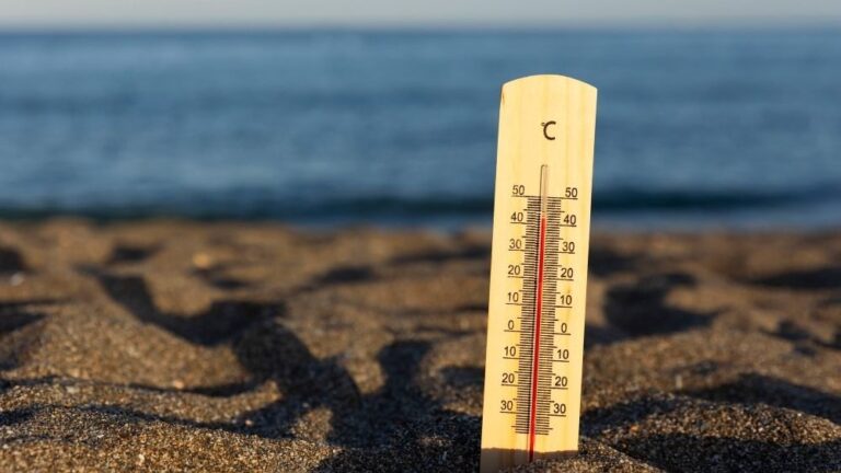 Sinais vitais da Terra estão em estado crítico por mudanças climáticas, alerta pesquisa
