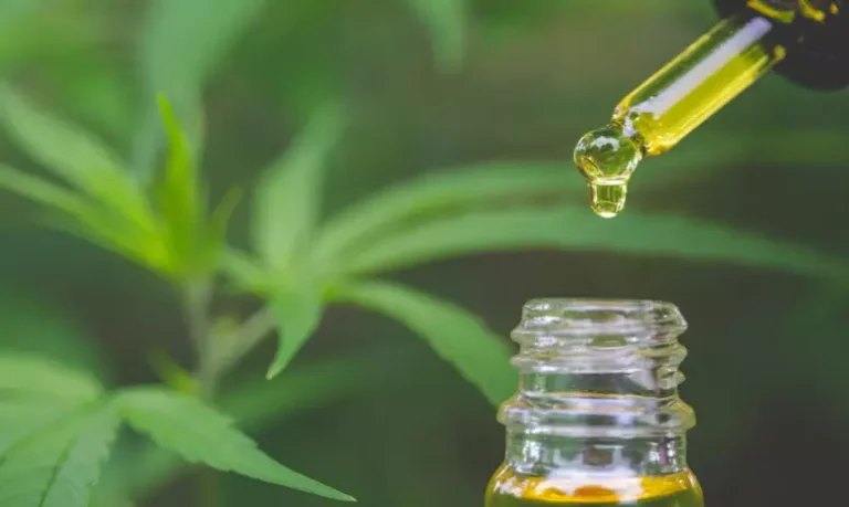 Distribuição de medicamentos à base de canabidiol deverá ser aprovada pela Alesc, nesta quarta-feira,27