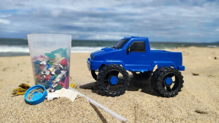 Microlixo se transforma em brinquedos nas praias de Santa Catarina