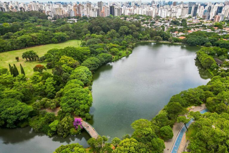 Plataforma que monitora áreas verdes urbanas ganha prêmio do Instituto de Arquitetos do Brasil