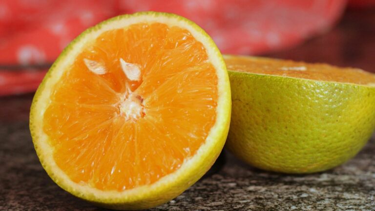 Biocarvão derivado de laranjas é sustentável e pode ajudar a descontaminar água, aponta estudo
