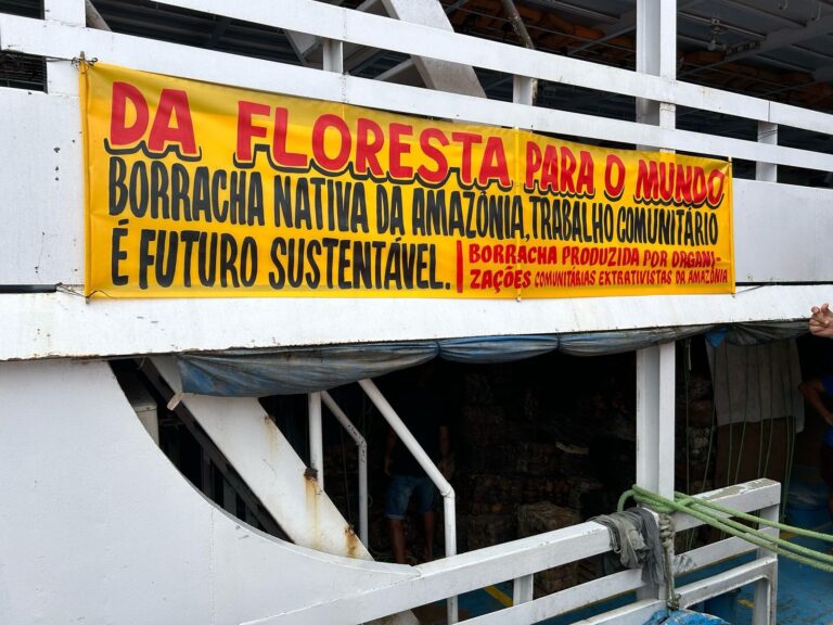 Safra da borracha gera R$ 2,2 milhões para seringueiros da Amazônia, em 2024