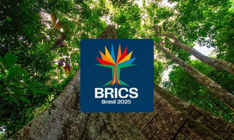 Brics lança concurso para startups lideradas por mulheres