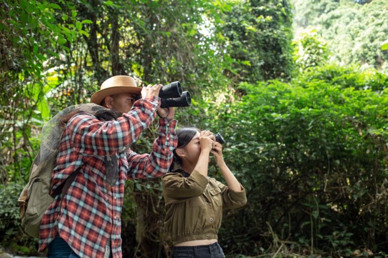Joinville é destaque no turismo de observação de aves
