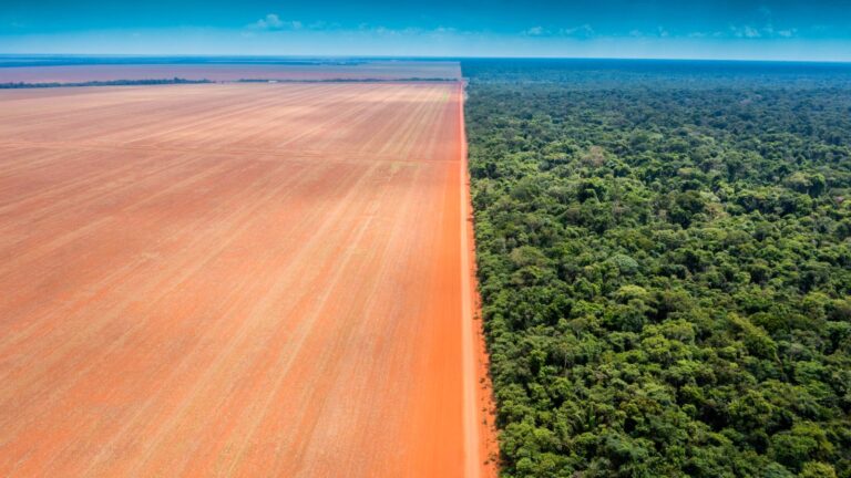 Mais de 350 organizações de diferentes esferas lançam manifesto contra o PL da Devastação