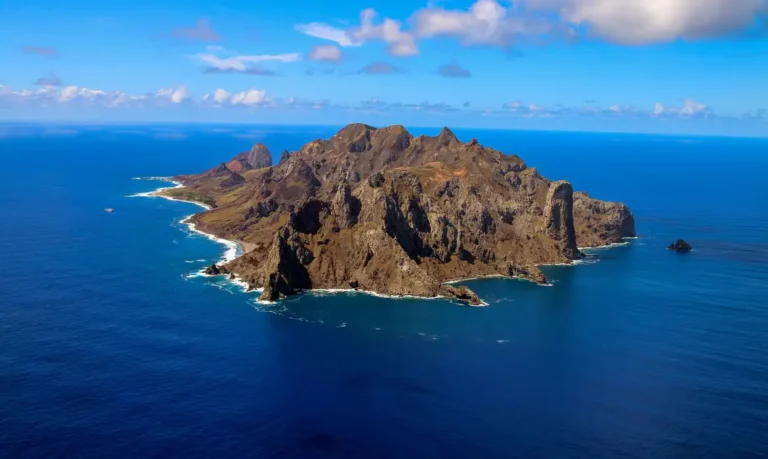 Ilha capixaba aumenta flora nativa e é modelo de restauração ambiental