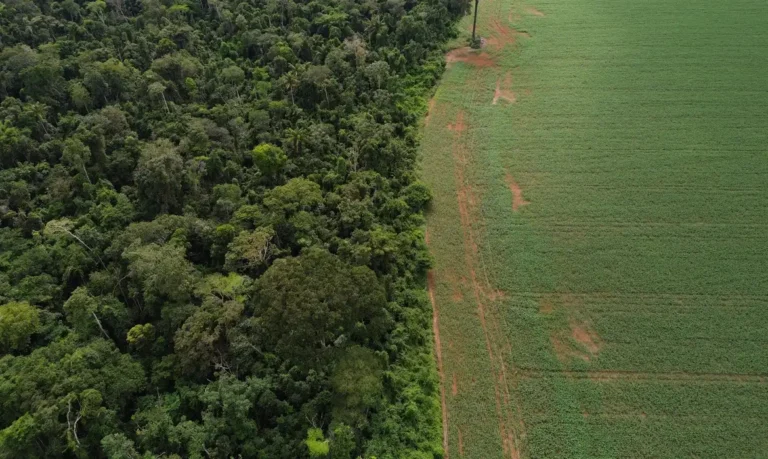 Brasil apresenta soluções de financiamento climático em Nova York