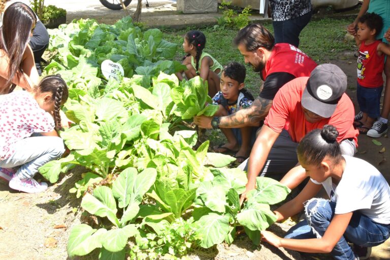 Maricá colhe primeiros frutos do Projeto Horta Terapêutica