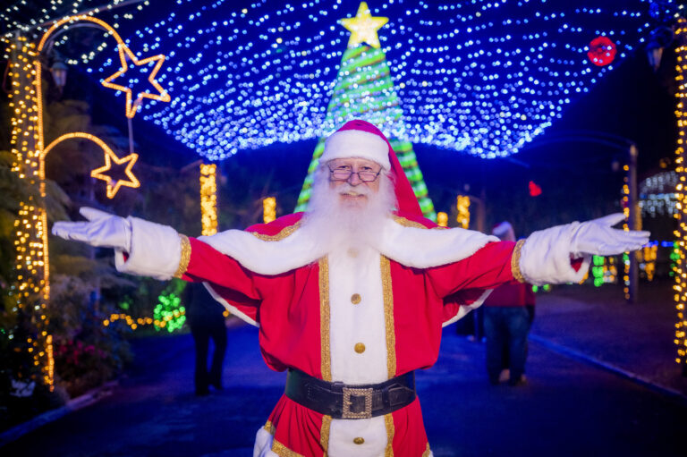 Ingressos para o Natal da Rua Iluminada começam a ser vendidos nesta quarta, dia 15