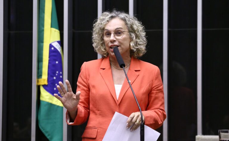 Câmara dos Deputados promove debate sobre portos catarinenses na Alesc, confirma deputada Ana Paula Lima