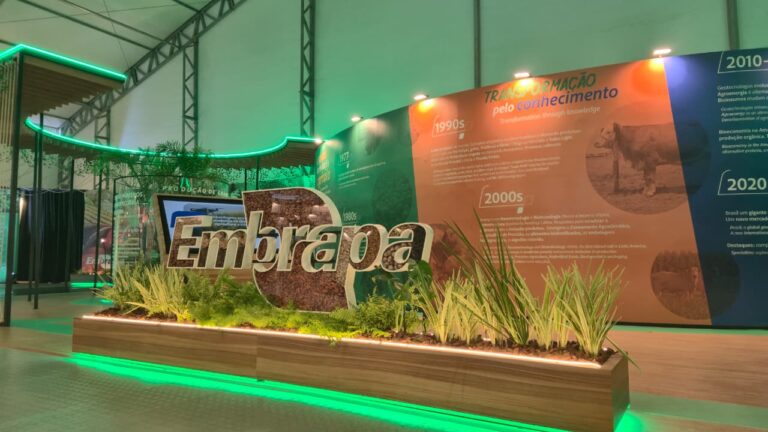 COP30: AgriZone começa nesta segunda-feira