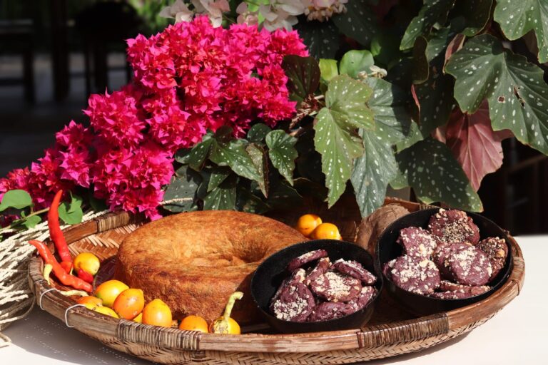 Espaço gastronômico na COP30 apresenta novidades da ciência para a alimentação