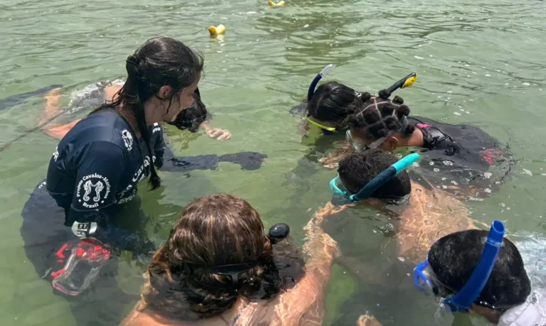 Projeto forma jovens guardiões de cavalos-marinhos