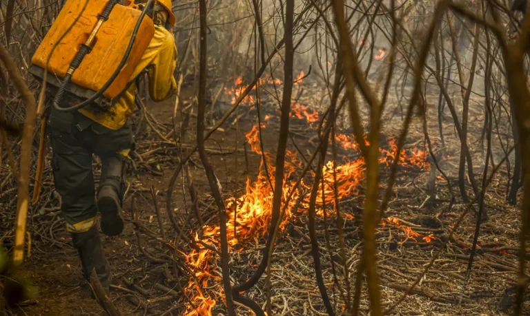 Governo Federal lança painel inédito para rastrear gastos climáticos