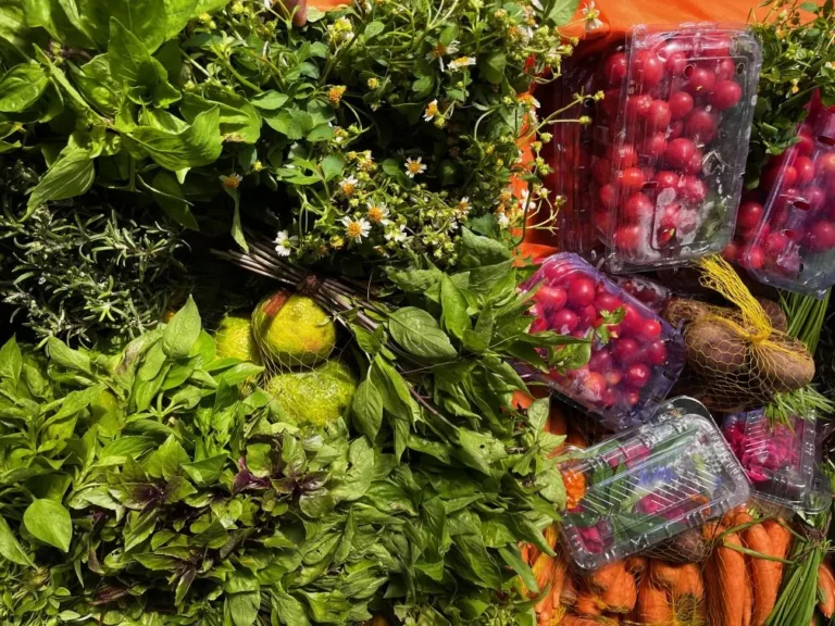 Salvador sedia pela primeira vez o Encontro de Pesquisas em Gastronomias do Brasil