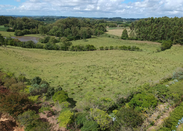 Brasil lança ferramenta inovadora para tornar a agricultura familiar modelo de sustentabilidade