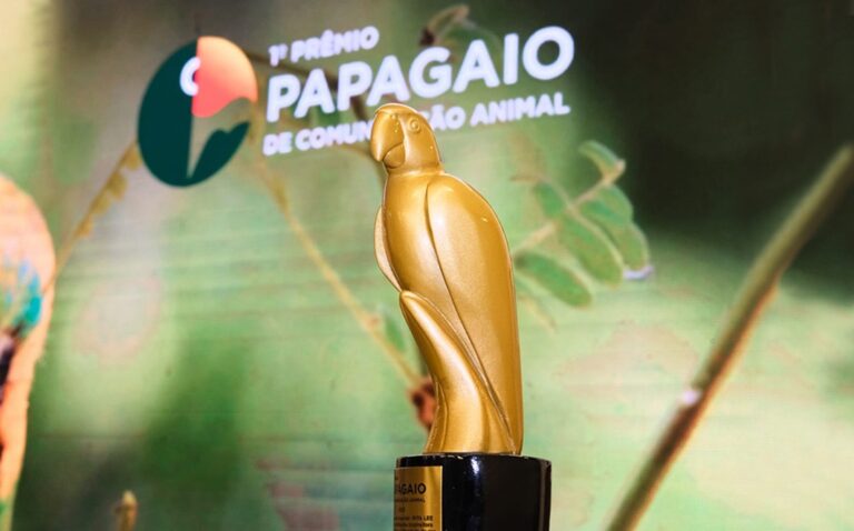 Prêmio Papagaio prorroga inscrições e oferece bolsa de R$ 50 mil para jornalistas e comunicadores