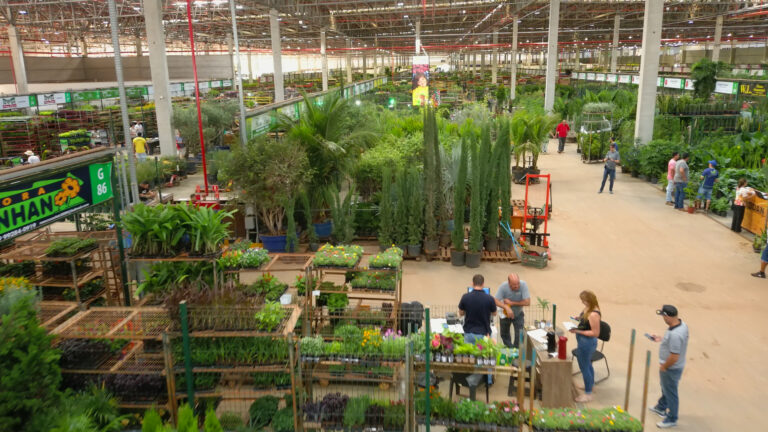Ceaflor sedia congresso internacional de paisagismo focado em mudanças climáticas e soluções urbanas